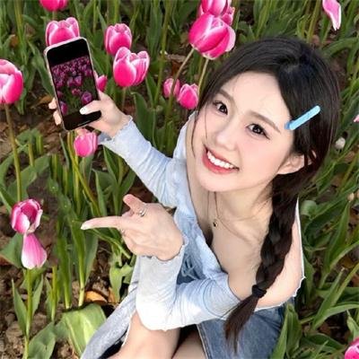百合与直觉 封面