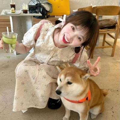 动物世界 封面